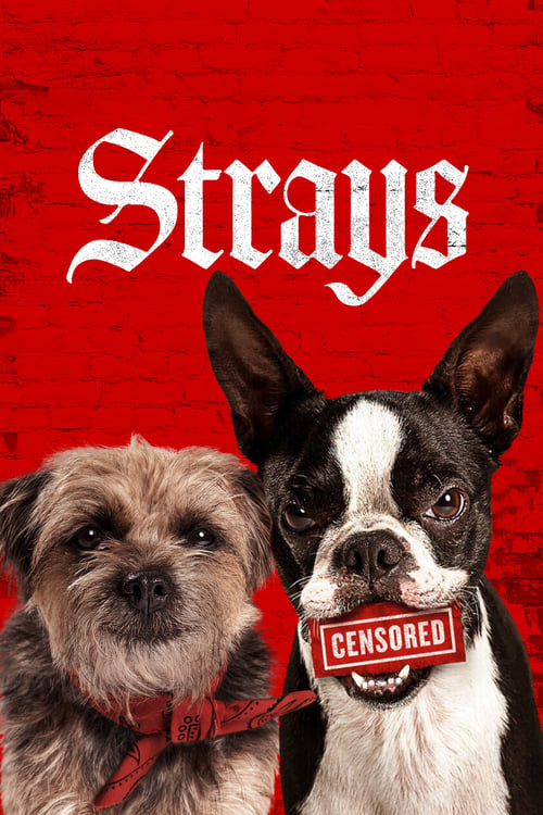 دانلود فیلم Strays ولگردها