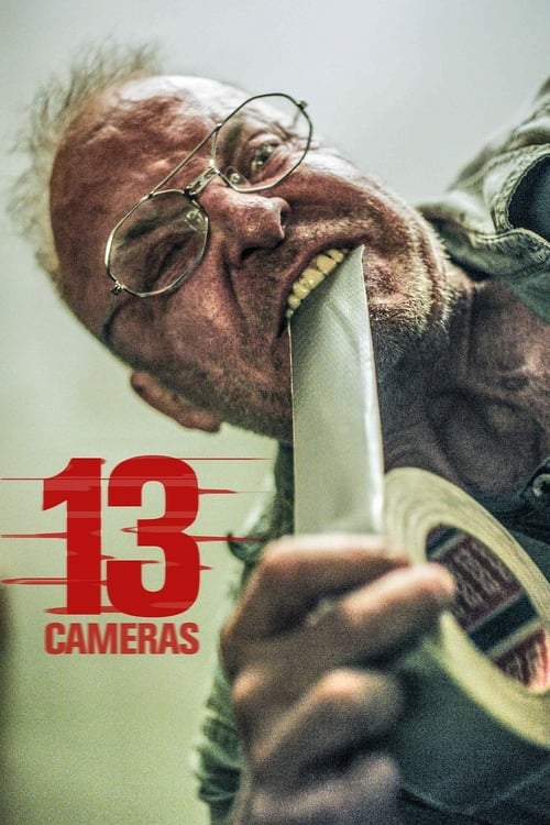 دانلود فیلم ۱۳ Cameras